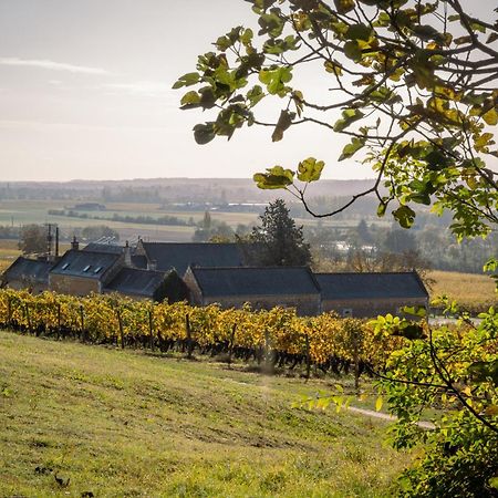 Panzoult Domaine Beausejour Bed & Breakfast エクステリア 写真