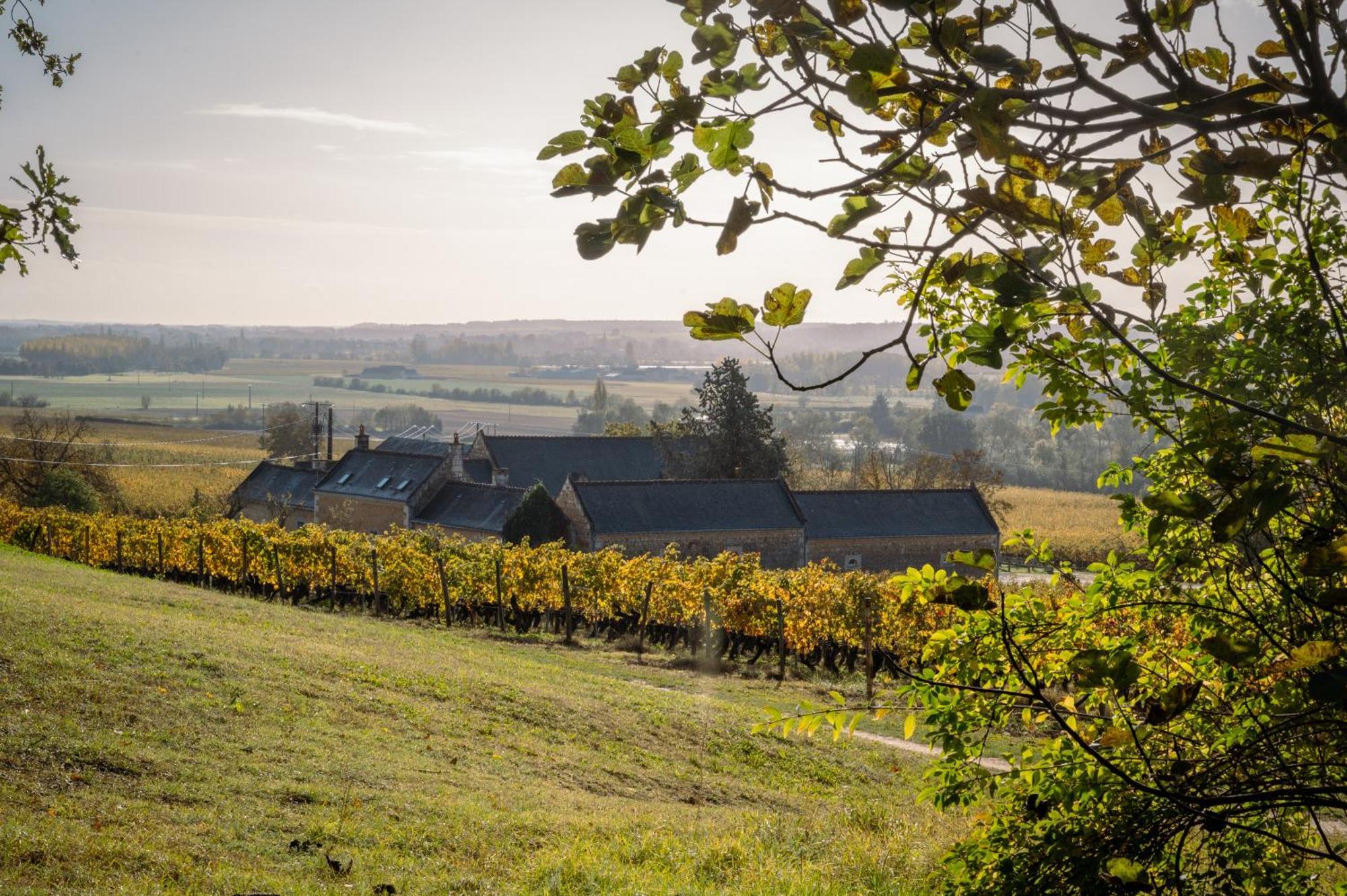 Panzoult Domaine Beausejour Bed & Breakfast エクステリア 写真